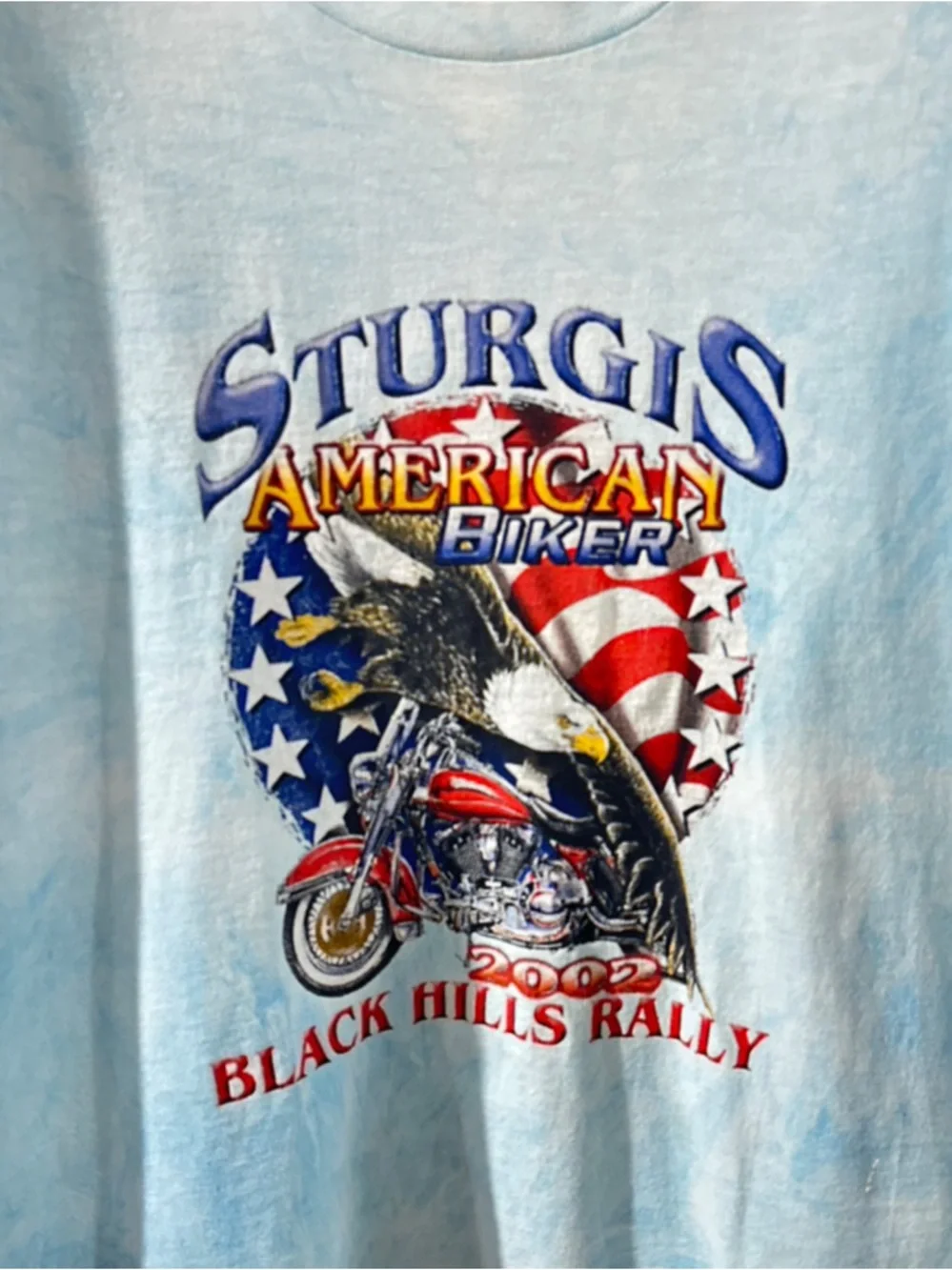 VTG 2002 Sturgis Black Hills Rally Graphic T-Shirt Size Men’s 2XL